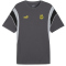 PUMA BVB Borussia Dortmund FtblArchive T-Shirt Herren 04 - shadow gray/cool mid gray S