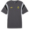 PUMA BVB Borussia Dortmund FtblArchive T-Shirt Herren 04 - shadow gray/cool mid gray L