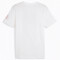 PUMA SFV Schweiz Ftblicons T-Shirt Herren 15 - PUMA white/PUMA red L