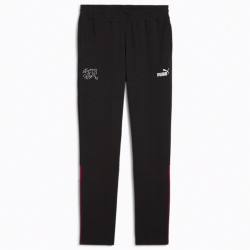 PUMA SFV Schweiz FtblArchive Jogginghose Herren 14 - PUMA...