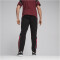 PUMA SFV Schweiz FtblArchive Jogginghose Herren 14 - PUMA black/team regal red S