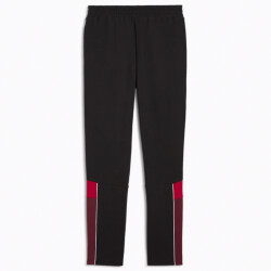 PUMA SFV Schweiz FtblArchive Jogginghose Herren 14 - PUMA...