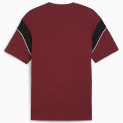 PUMA SFV Schweiz FtblArchive T-Shirt Herren 12 - team...