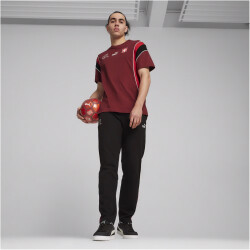PUMA SFV Schweiz FtblArchive T-Shirt Herren 12 - team regal red/fast red L