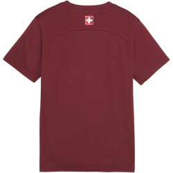 PUMA SFV Schweiz Trainingsshirt Kinder 08 - team regal...
