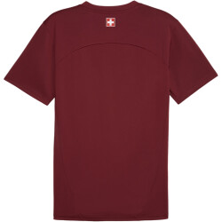 PUMA SFV Schweiz Trainingsshirt Herren 08 - team regal...