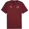 PUMA SFV Schweiz Trainingsshirt Herren 08 - team regal red/puma white M
