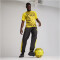 PUMA BVB Borussia Dortmund kurzarm Aufwärmtrikot 2023/24 Herren 01 - cyber yellow/puma black M