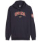 PUMA FSS Serbien Ftblicons Hoodie Herren 14 - PUMA navy/dark cherry S