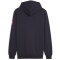 PUMA FSS Serbien Ftblicons Hoodie Herren 14 - PUMA navy/dark cherry S