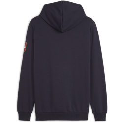 PUMA FSS Serbien Ftblicons Hoodie Herren 14 - PUMA...