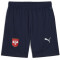 PUMA FSS Serbien Trainingsshorts Herren 09 - PUMA navy/PUMA white XL