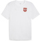 PUMA FSS Serbien Trainingsshirt Herren 10 - PUMA white S
