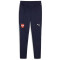 PUMA FSS Serbien Trainingshosen Herren 09 - PUMA navy/PUMA white M
