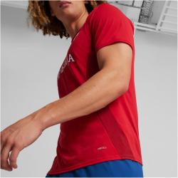 PUMA FSS Serbien kurzarm Aufw&auml;rmtrikot EM 2024 Herren 08 - dark cherry/intense red XXL