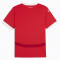 PUMA ÖFB Österreich Heimtrikot EM 2024 Herren 01 - PUMA red/chili pepper S