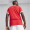 PUMA ÖFB Österreich Heimtrikot EM 2024 Herren 01 - PUMA red/chili pepper S