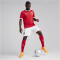 PUMA ÖFB Österreich Heimtrikot EM 2024 Herren 01 - PUMA red/chili pepper S