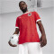 PUMA ÖFB Österreich Heimtrikot EM 2024 Herren 01 - PUMA red/chili pepper S