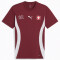 PUMA SFV Schweiz kurzarm Aufwärmtrikot 2024/25 Herren 08 - team regal red/puma white M