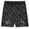 PUMA SFV Schweiz Torwartshorts 2024 Kinder 91 - PUMA black 116