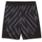 PUMA SFV Schweiz Torwartshorts 2024 Kinder 91 - PUMA black 140