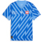 PUMA SFV Schweiz kurzarm Torwarttrikot EM 2024 Kinder 94 - blue glimmer 128