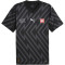 PUMA SFV Schweiz kurzarm Torwarttrikot EM 2024 Herren 91 - PUMA black S