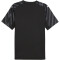 PUMA SFV Schweiz kurzarm Torwarttrikot EM 2024 Herren 91 - PUMA black S