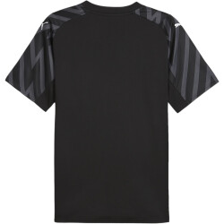 PUMA SFV Schweiz kurzarm Torwarttrikot EM 2024 Herren 91...