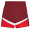 PUMA SFV Schweiz Shorts 2024 Kinder 03 - team regal red/puma red 140