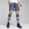 PUMA SFV Schweiz Shorts 2024 Herren 07 - inky blue/puma white L