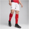 PUMA SFV Schweiz Shorts 2024 Herren 05 - PUMA white/team regal red S