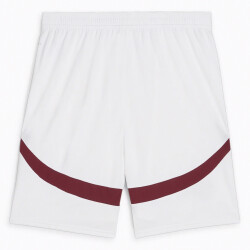 PUMA SFV Schweiz Shorts 2024 Herren 05 - PUMA white/team...