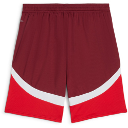 PUMA SFV Schweiz Shorts 2024 Herren 03 - team regal red/puma red S