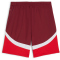 PUMA SFV Schweiz Shorts 2024 Herren 03 - team regal red/puma red S