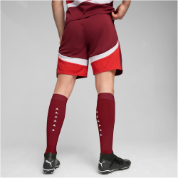 PUMA SFV Schweiz Shorts 2024 Herren 03 - team regal red/puma red M