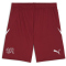 PUMA SFV Schweiz Shorts 2024 Herren 03 - team regal red/puma red XL