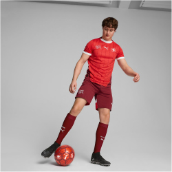 PUMA SFV Schweiz Shorts 2024 Herren 03 - team regal red/puma red XXL