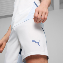 PUMA SFV Schweiz Shorts 2024 Herren 02 - PUMA white/icy blue XL