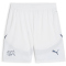 PUMA SFV Schweiz Shorts 2024 Herren 02 - PUMA white/icy blue XL