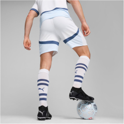 PUMA SFV Schweiz Shorts 2024 Herren 02 - PUMA white/icy blue XXL