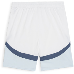 PUMA SFV Schweiz Shorts 2024 Herren 02 - PUMA white/icy blue XXL