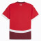 PUMA SFV Schweiz Heimtrikot EM 2024 Herren 01 - PUMA red/team regal red L