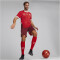 PUMA SFV Schweiz Heimtrikot EM 2024 Herren 01 - PUMA red/team regal red L