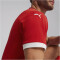 PUMA SFV Schweiz Heimtrikot EM 2024 Herren 01 - PUMA red/team regal red L