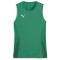 PUMA teamGOAL ärmelloses Trikot Damen 05 - sport green/puma white/power green M