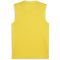 PUMA teamGOAL &auml;rmelloses Trikot Herren 07 - faster yellow/puma black/sport yellow M