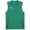 PUMA teamGOAL ärmelloses Trikot Herren 05 - sport green/puma white/power green S
