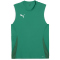 PUMA teamGOAL &auml;rmelloses Trikot Herren 05 - sport green/puma white/power green M